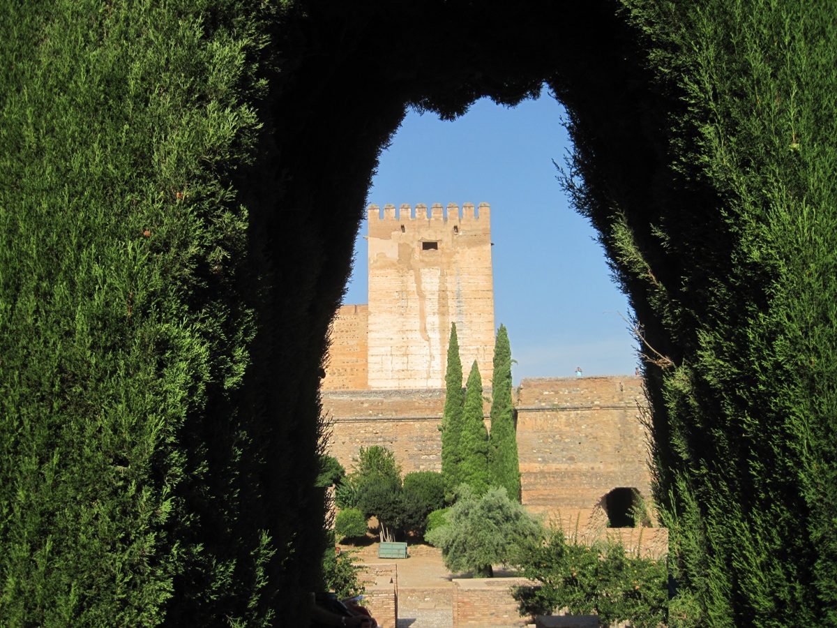 24-Alhambra--Bellissima veduta della torre